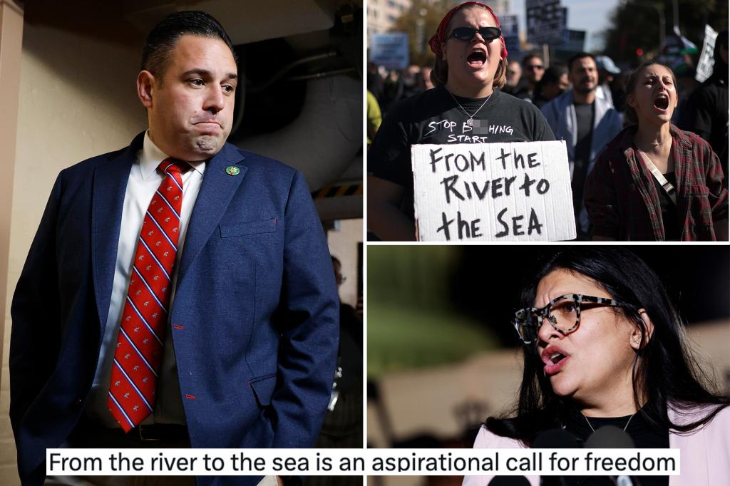 NY Rep. D’Esposito wants âfrom the river to the seaâ chant officially condemned as antisemitic